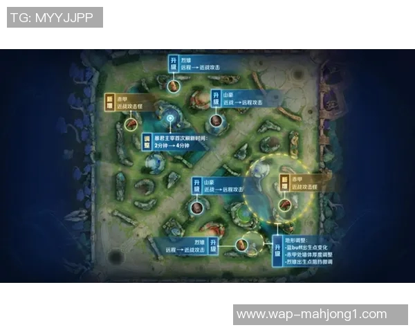 王者荣耀EDG阵地战策略深度解析与战术运用全景剖析